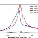 Merck Anti-TAF4 antibody produced in rabbit