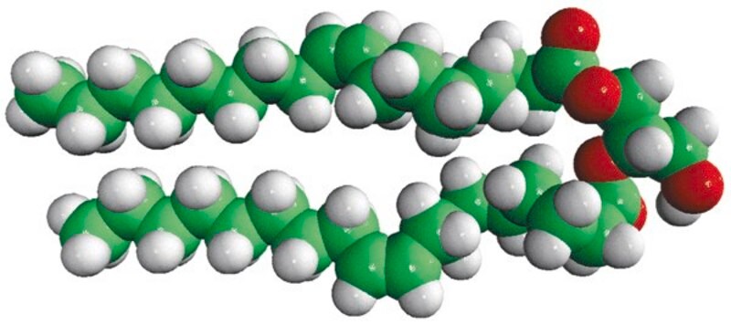 Merck 18:1 DG