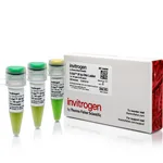Thermo Fisher Scientific E-Gel 50 bp DNA Ladder