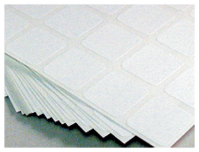 Thermo Fisher Scientific Square Microscope Slide Labels