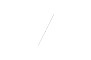 Waters Tubing, ETFE, 1/16 in OD x 0.010 in ID, 204 mm long