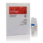 Thermo Fisher Scientific Griess Reagent Kit, for nitrite quantitation