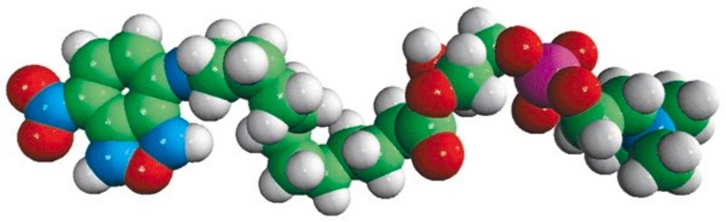 Merck 12:0 Lyso NBD PC