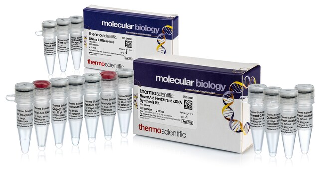 Thermo Fisher Scientific RevertAid First Strand cDNA Synthesis Kit, with DNase I, 20 reactions