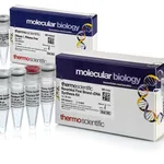 Thermo Fisher Scientific RevertAid First Strand cDNA Synthesis Kit, with DNase I, 20 reactions