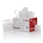 Thermo Fisher Scientific PureLink HiPure Plasmid Miniprep Kit, 25 Preps