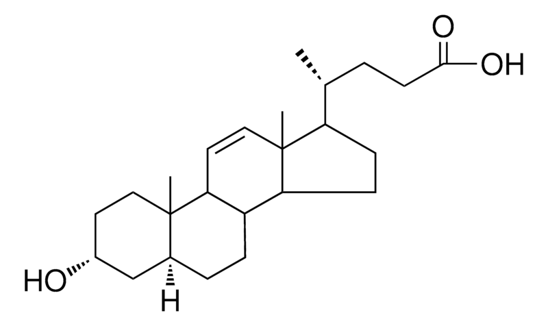 Merck 3-ALPHA-HYDROXY-5-ALPHA-CHOL-1 - 1 MG&