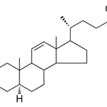 Merck 3-ALPHA-HYDROXY-5-ALPHA-CHOL-1 - 1 MG&