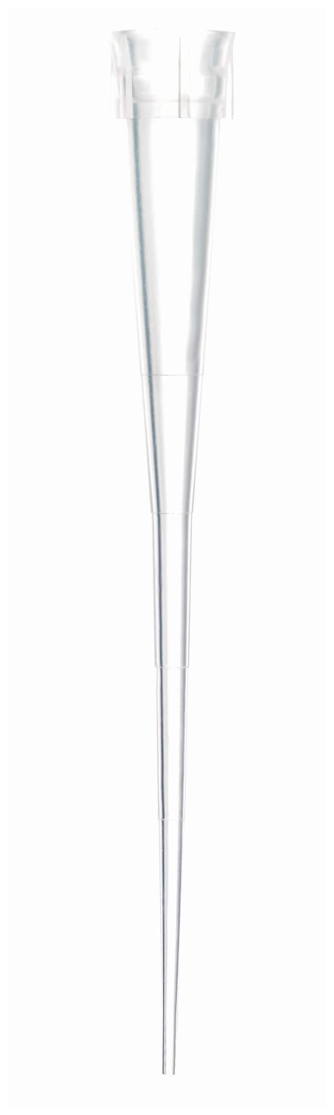 Thermo Fisher Scientific SureOne Micropoint Pipette Tips, Universal Extended Length