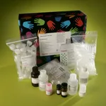Thermo Fisher Scientific GlycoLink IP Kit