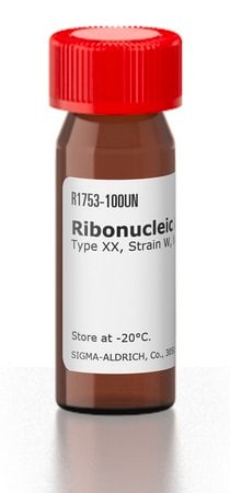 Merck Ribonucleic acid, transfer from Escherichia coli