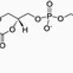 Merck 14:0 PE-DTPA (GD)