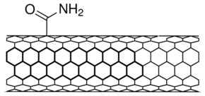 Merck CARBON NANOTUBE, SINGLE-WALLED, AMIDE FU