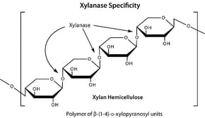 Merck HEMICELLULASE CRUDE FROM ASPERGILLUS   &