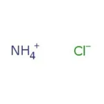 Thermo Fisher Scientific Chloride Standard, 10 ppm Cl<sup>-</sup>, Ricca Chemical
