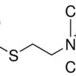 Merck ACETYLTHIOCHOLINE CHLORIDE