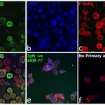 Thermo Fisher Scientific Goat anti-Human IgM (Heavy chain) Cross-Adsorbed Secondary Antibody