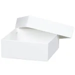 Thermo Fisher Scientific Storage Fiberboard Box, 2 in. (50 mm)