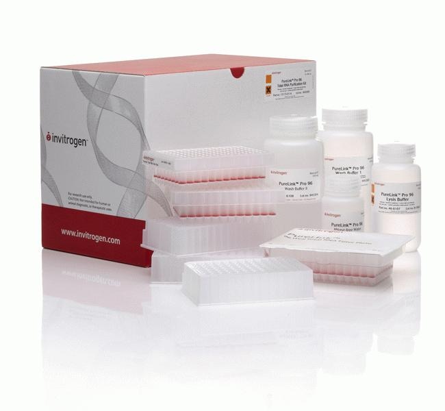 Thermo Fisher Scientific PureLink Pro 96 total RNA Purification Kit