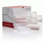 Thermo Fisher Scientific PureLink Pro 96 total RNA Purification Kit