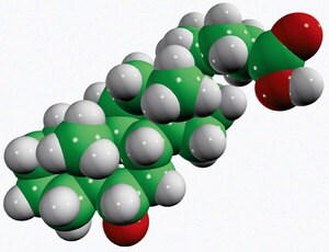 Merck HYOCHOLIC ACID