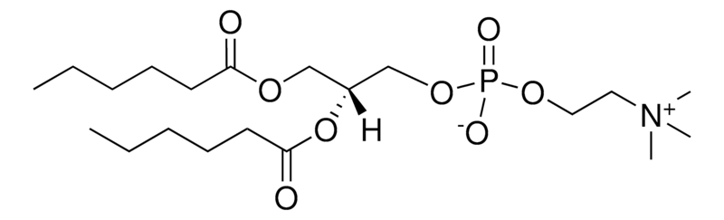 Merck 06:0 PC (DHPC)
