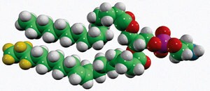 Merck 15:0-18:1-D7-PE