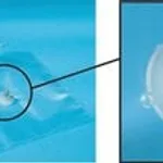 Merck PK10 0.6L TEDLAR PLV GAS SAMPLING BAG &