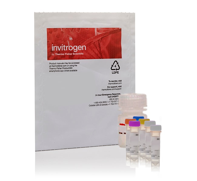 Thermo Fisher Scientific EnzChek Phospholipase A1 Assay Kit