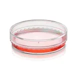 Thermo Fisher Scientific BioLite 35mm Dish, Cell Culture-treated surface