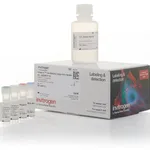 Thermo Fisher Scientific Image-iT Low Density Lipoprotein Uptake Kit, Bodipy FL