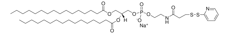 Merck 16:0 PDP PE