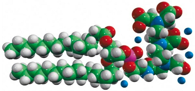 Merck 16:0 PE-DTPA