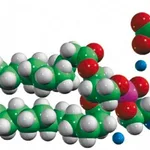 Merck 16:0 PE-DTPA