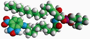 Merck C12-NBD SPHINGOMYELIN