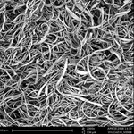 Merck CERIUM ZIRCONIUM OXIDE NANOFIBER (CE:ZR&