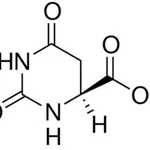 Merck L-DIHYDROOROTIC ACID