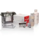 Thermo Fisher Scientific NuPAGE Midi Bis-Tris Welcome Pack for Protein Expression (4–12%, 20 well)