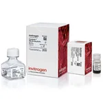 Thermo Fisher Scientific Dynabeads RNA Purification Kit, 2 mL