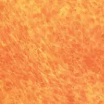 Himedia HiPer® Teaching Kit for Osteogenic Differentiation and Staining
