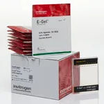 Thermo Fisher Scientific E-Gel NGS 0.8% Agarose Gels