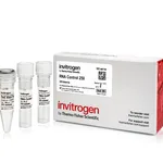 Thermo Fisher Scientific RNA Control 250, 2 x 20μL