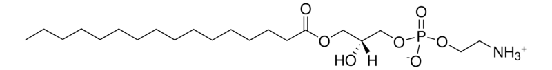 Merck 16:0 Lyso PE