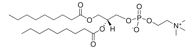 Merck 09:0 PC