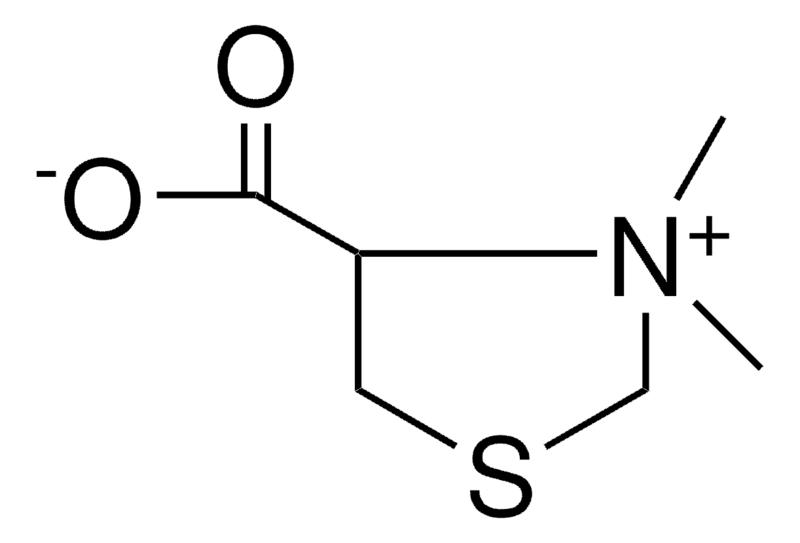 Merck 4-CARBOXY--3,3-DIMETHYLTHIAZOLID-