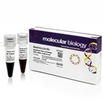 Thermo Fisher Scientific GeneRuler Ultra Low Range DNA Ladder, ready-to-use