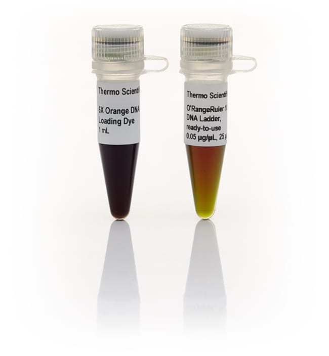 Thermo Fisher Scientific O`RangeRuler 10 bp DNA Ladder, ready-to-use