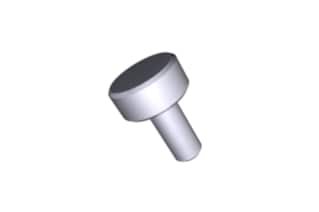 Waters Screw, Thumb, M5 x 11, SS