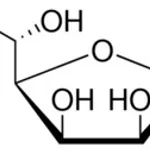 Merck L-GULONIC GAMMA-LACTONE, 95%
