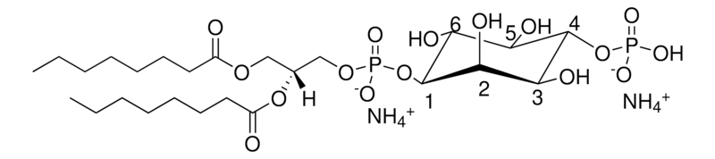 Merck 08:0 PI(4)P